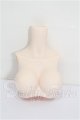 画像: MDD/MDD2.0-B-L-SW:上半身パーツ L胸 S-26-05-17-328-YB-ZS