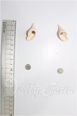 画像2: MDD/OF:小物 S-26-05-17-294-YB-ZS (2)
