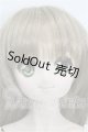 画像: DDS/DDH-04ヘッド＋ボディ S-26-08-02-522-YB-ZS