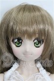 画像1: DDS/DDH-04ヘッド＋ボディ S-26-05-24-204-YB-ZS (1)