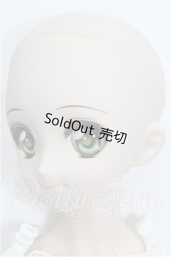 画像3: DDS/DDH-04ヘッド＋ボディ S-26-08-02-523-YB-ZS (3)