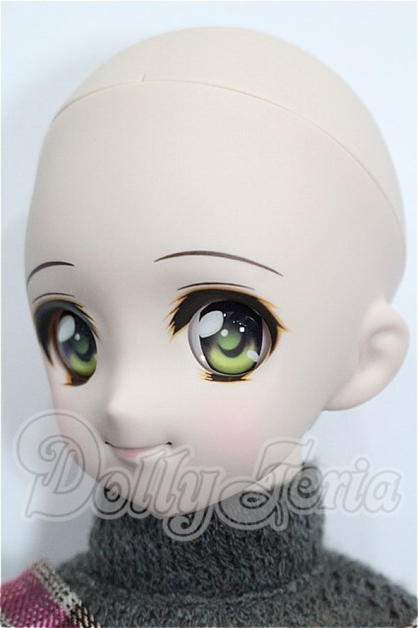 画像3: DDS/DDH-04ヘッド＋ボディ S-26-05-24-201-YB-ZS (3)