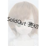 画像: DDP/DDH-04ヘッド+ボディ S-26-05-24-206-YB-ZS