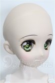 画像4: DDP/DDH-04ヘッド＋ボディ S-26-05-24-206-YB-ZS (4)