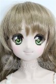 画像1: DDS/DDH-04ヘッド＋ボディ S-26-05-24-202-YB-ZS (1)