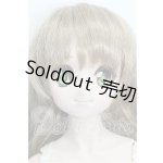 画像: DDS/DDH-04ヘッド＋ボディ S-26-08-02-524-YB-ZS