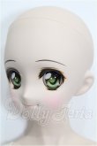 画像3: DDS/DDH-04ヘッド＋ボディ S-26-05-24-202-YB-ZS (3)
