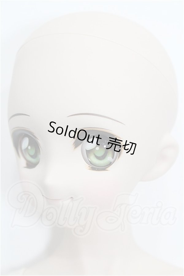 画像3: DDS/DDH-04ヘッド＋ボディ S-26-08-02-524-YB-ZS (3)