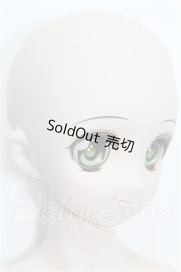 画像4: DDS/DDH-04ヘッド＋ボディ S-26-08-02-524-YB-ZS (4)