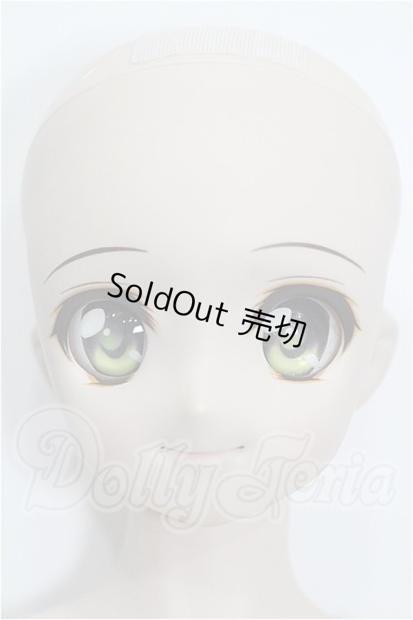 画像2: DD/DDH-04ヘッド＋ボディ S-26-08-02-525-YB-ZS (2)