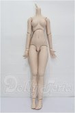 画像1: DD/DDベースボディ2.0(DD-f3) M胸 S-26-05-17-306-TO-ZS (1)