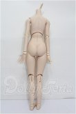 画像2: DD/DDベースボディ2.0(DD-f3) M胸 S-26-05-17-306-TO-ZS (2)