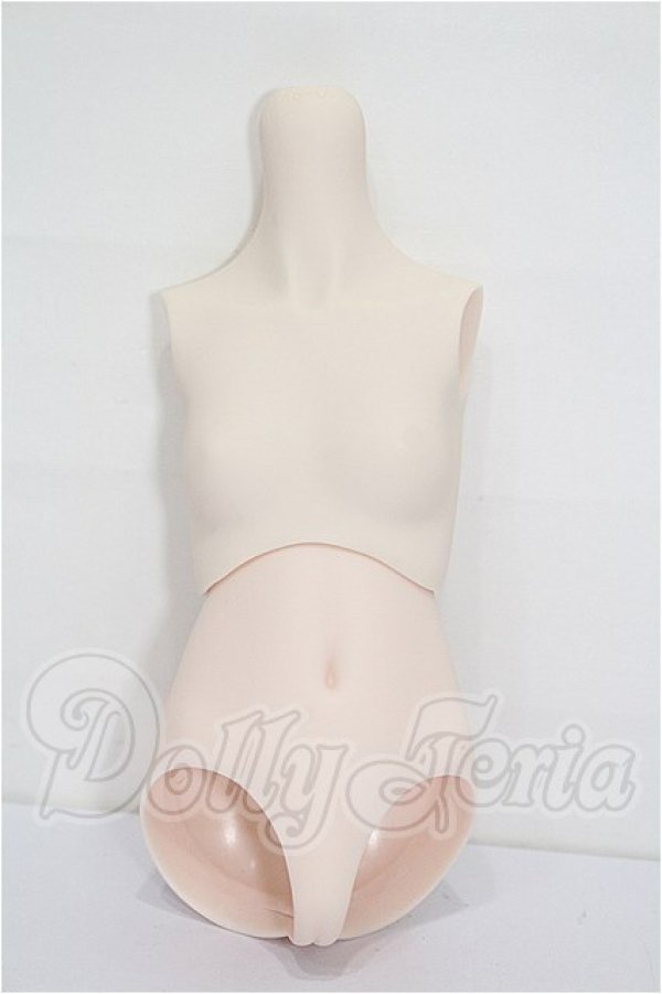 画像1: MDD/上半身・下半身パーツ S-26-05-17-323-TO-ZS (1)