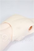 画像3: MDD/上半身・下半身パーツ S-26-05-17-323-TO-ZS (3)