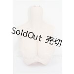 画像: DD2.0/上半身パーツ L胸 S-26-05-24-123-TO-ZS