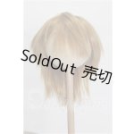 画像: 8-9inch/ウィッグ S-26-08-23-547-TO-ZS