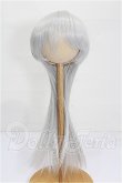 画像1: 8.5-9inch/ウィッグ S-26-05-31-288-TO-ZS (1)