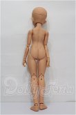 画像6: DOLLBOT/カイラヴ S-26-05-24-106-TO-ZS (6)