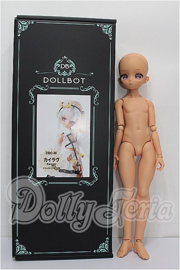 画像7: DOLLBOT/カイラヴ S-26-05-24-106-TO-ZS (7)