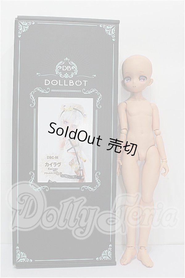 画像7: DOLLBOT/カイラヴ S-26-05-24-106-TO-ZS (7)