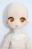 画像1: TinyFox/1/6カスタムヘッド(C-12)+ボディ S-26-05-24-108-TO-ZS (1)