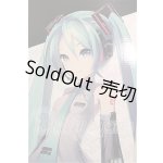 画像: DD/初音ミク Reboot S-26-05-24-102-TO-ZS