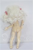 画像5: iMdaDOLL/1.7　Anne S-26-06-07-107-TO-ZS (5)
