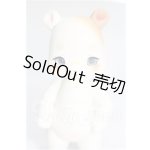 画像: cocoriang/Poi S-26-05-24-274-TO-ZS