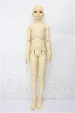 画像5: SD13男の子/フルチョイス　F-16 S-26-05-31-101-TO-ZS (5)