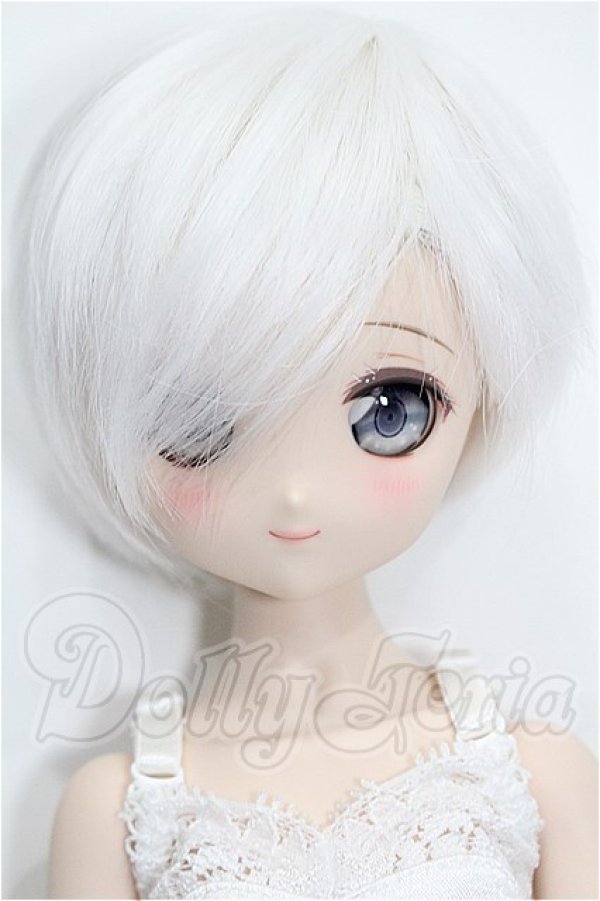画像1: MDD/ドリームチョイス:DC-H-17 S-26-06-07-106-YB-ZS (1)