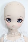 画像2: MDD/ドリームチョイス:DC-H-17 S-26-06-07-106-YB-ZS (2)