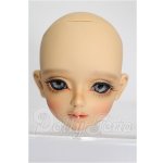画像: FOVEO/Sasha Head S-26-05-24-280-TO-ZS