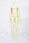 画像1: RSDOLL/RG LINE body Spine bone system S-26-05-31-103-TO-ZS (1)