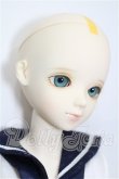画像3: BF/TF：Tommy S-26-06-07-104-TO-ZS (3)