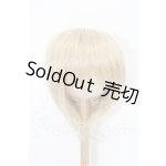 画像: 9-10inch/ウィッグ S-26-08-23-579-TO-ZS