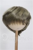 画像1: 8-9inch/ウィッグ S-26-06-21-224-TO-ZS (1)