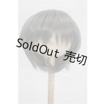 画像: 8-9inch/ウィッグ S-26-10-04-166-YB-ZS