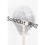 画像: 8.5-9inch/ウィッグ S-26-06-28-231-YB-ZS