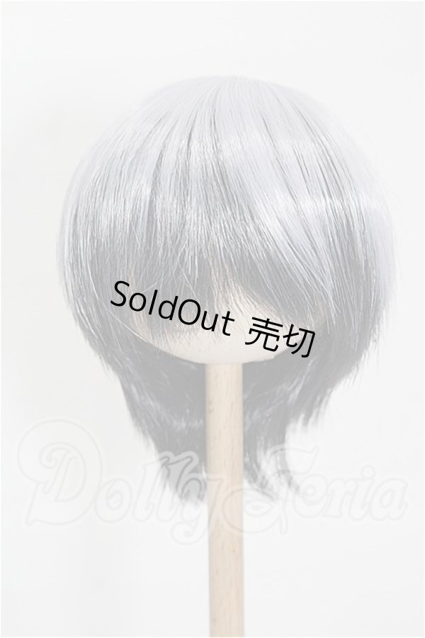 画像1: 8.5-9inch/ウィッグ S-26-06-28-231-YB-ZS (1)