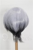画像2: 8.5-9inch/ウィッグ S-26-06-28-231-YB-ZS (2)