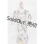 画像: SDM&MSD/OF:衣装セット S-26-06-14-202-TO-ZS