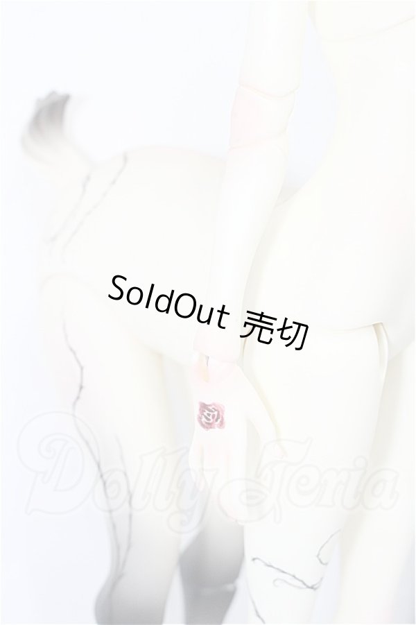画像8: DOLL CHATEAU/Noah-2 S-26-06-07-332-TO-ZS (8)