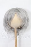 画像1: 8.5-9inch/ウィッグ S-26-06-07-328-TO-ZS (1)