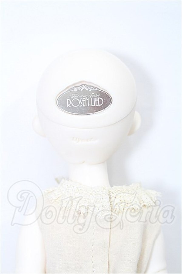 画像8: ROSENLIED/Tuesdays Child Basic Charlotte S-26-06-07-331-YB-ZS (8)