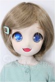 画像1: MDD/DDH-04ヘッド+MDDボディ S-26-06-14-305-TO-ZS (1)