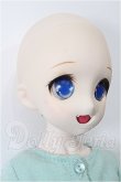 画像2: MDD/DDH-04ヘッド+MDDボディ S-26-06-14-305-TO-ZS (2)