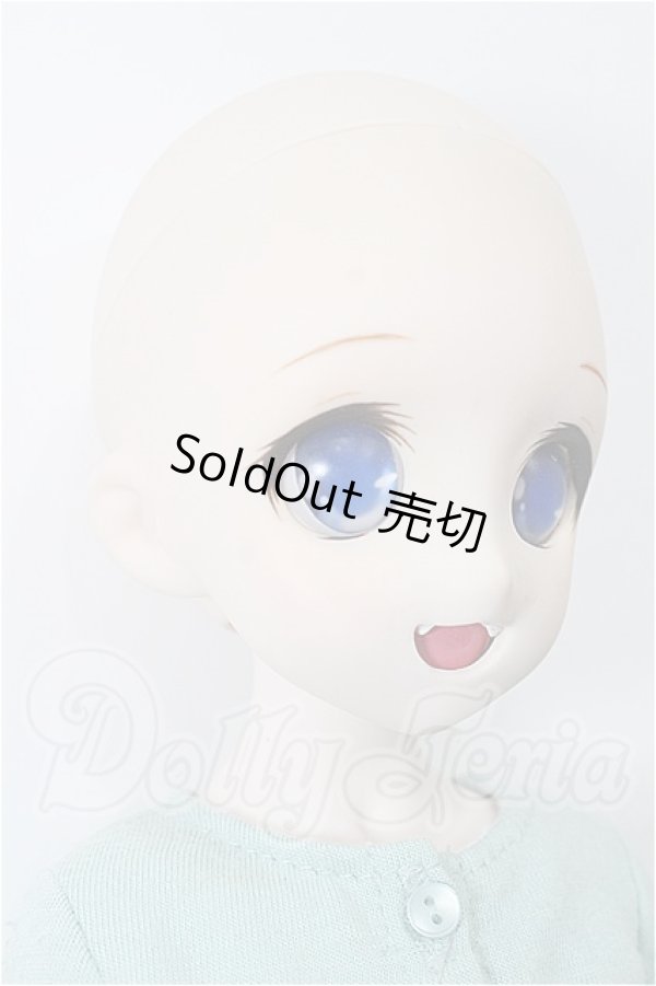 画像2: MDD/DDH-04ヘッド+MDDボディ S-26-06-14-305-TO-ZS (2)