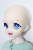 画像3: MDD/DDH-04ヘッド+MDDボディ S-26-06-14-305-TO-ZS (3)