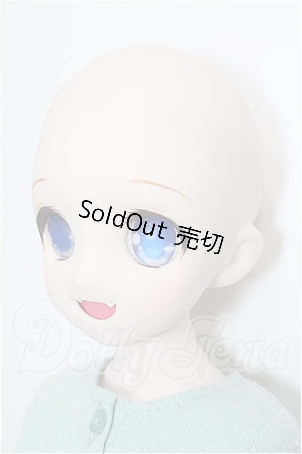 画像3: MDD/DDH-04ヘッド+MDDボディ S-26-06-14-305-TO-ZS (3)