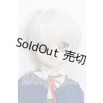 画像: DDS/DDH-04ヘッド+ボディ S-26-06-21-204-TO-ZS